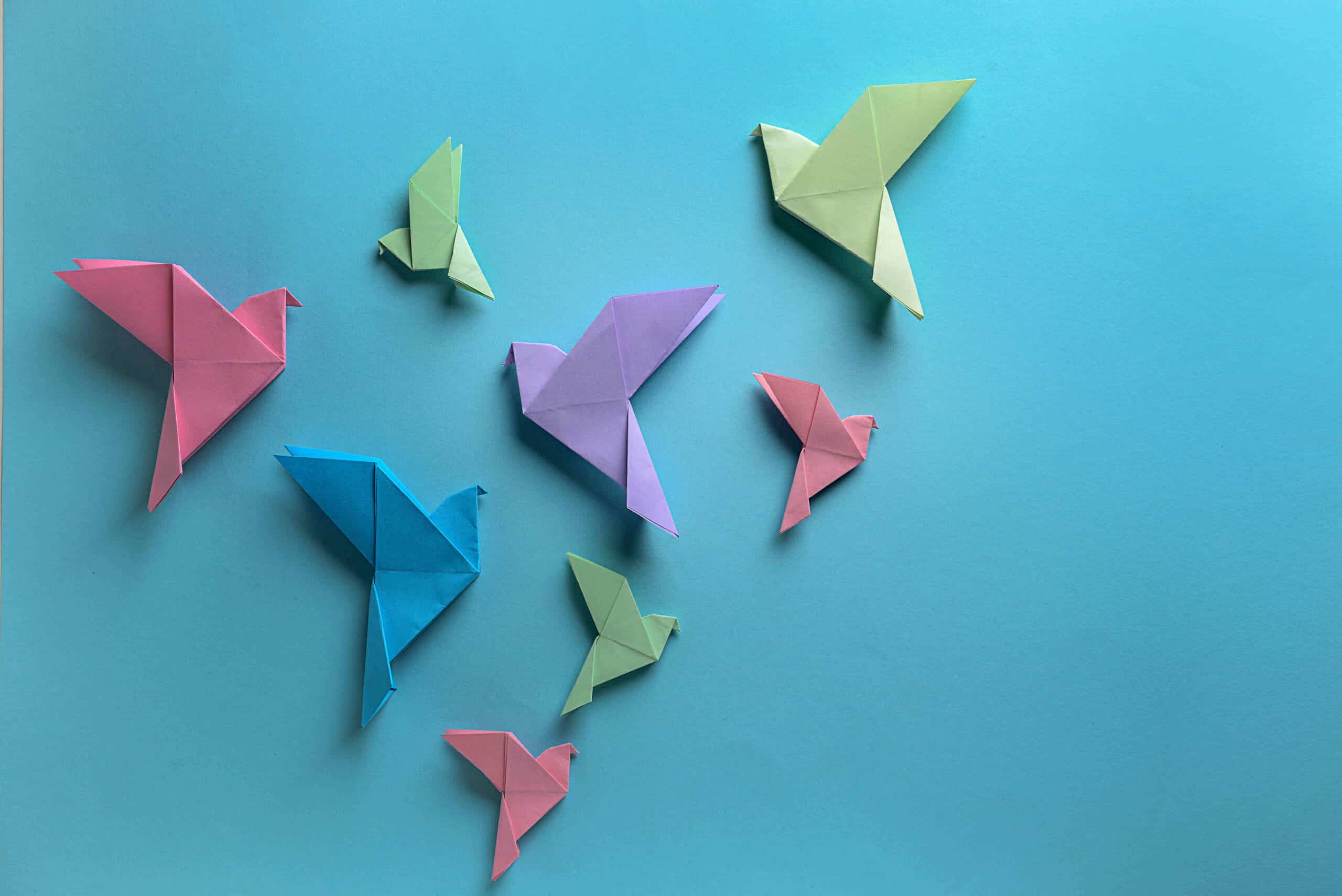 Origami birds on color background