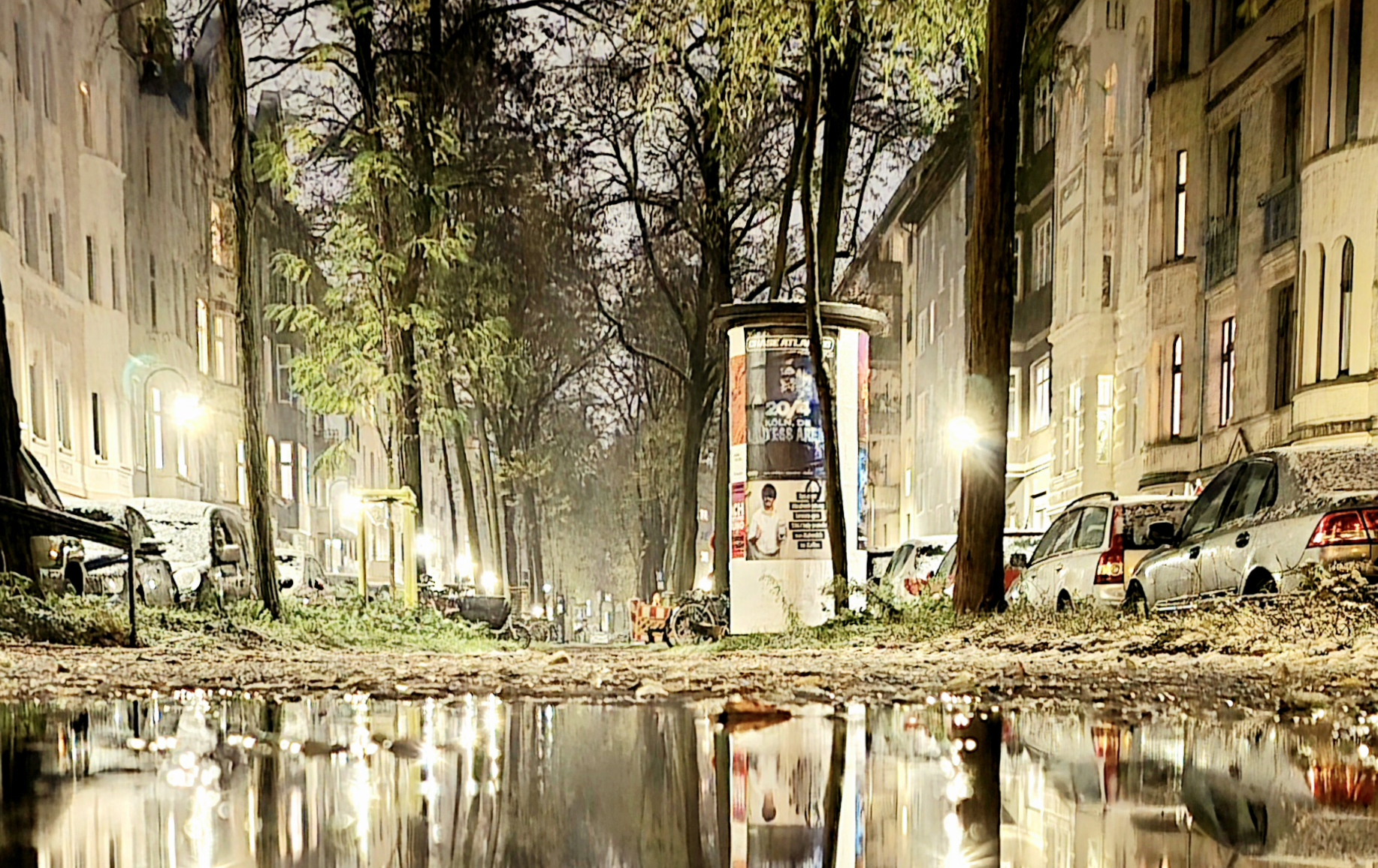 Nasse Straße bei Nacht mit Bäumen und Autos, Lichter spiegeln sich in Pfützen.